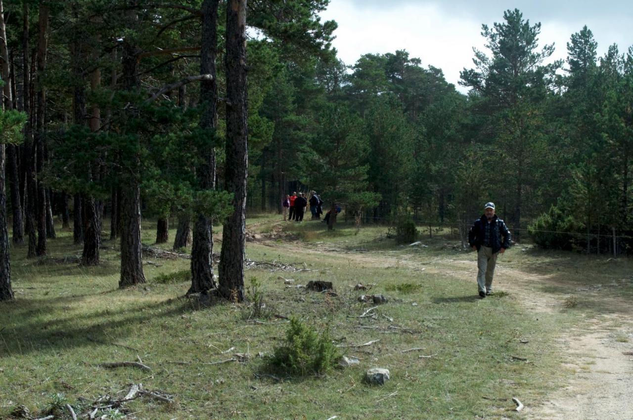 Sierra De Gudar Daire Dış mekan fotoğraf
