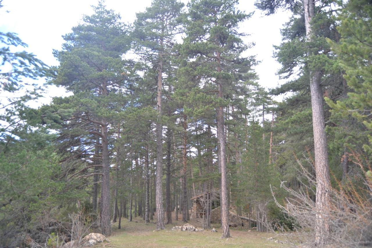 Sierra De Gudar Daire Dış mekan fotoğraf