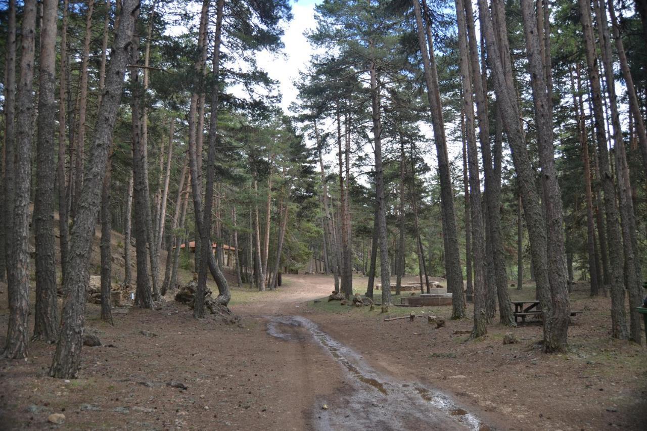 Sierra De Gudar Daire Dış mekan fotoğraf